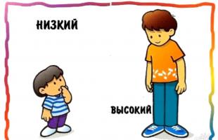 ¿Cuáles son los antónimos en ruso?